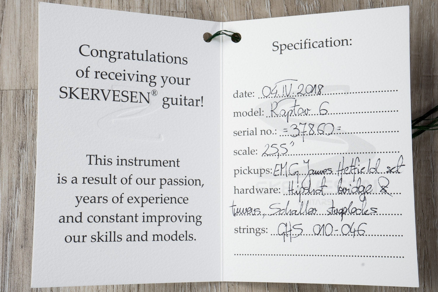 Skervesen Raptor 6 - 6-String Electric Guitar, Flamed Maple Top, Hard Case - Blue