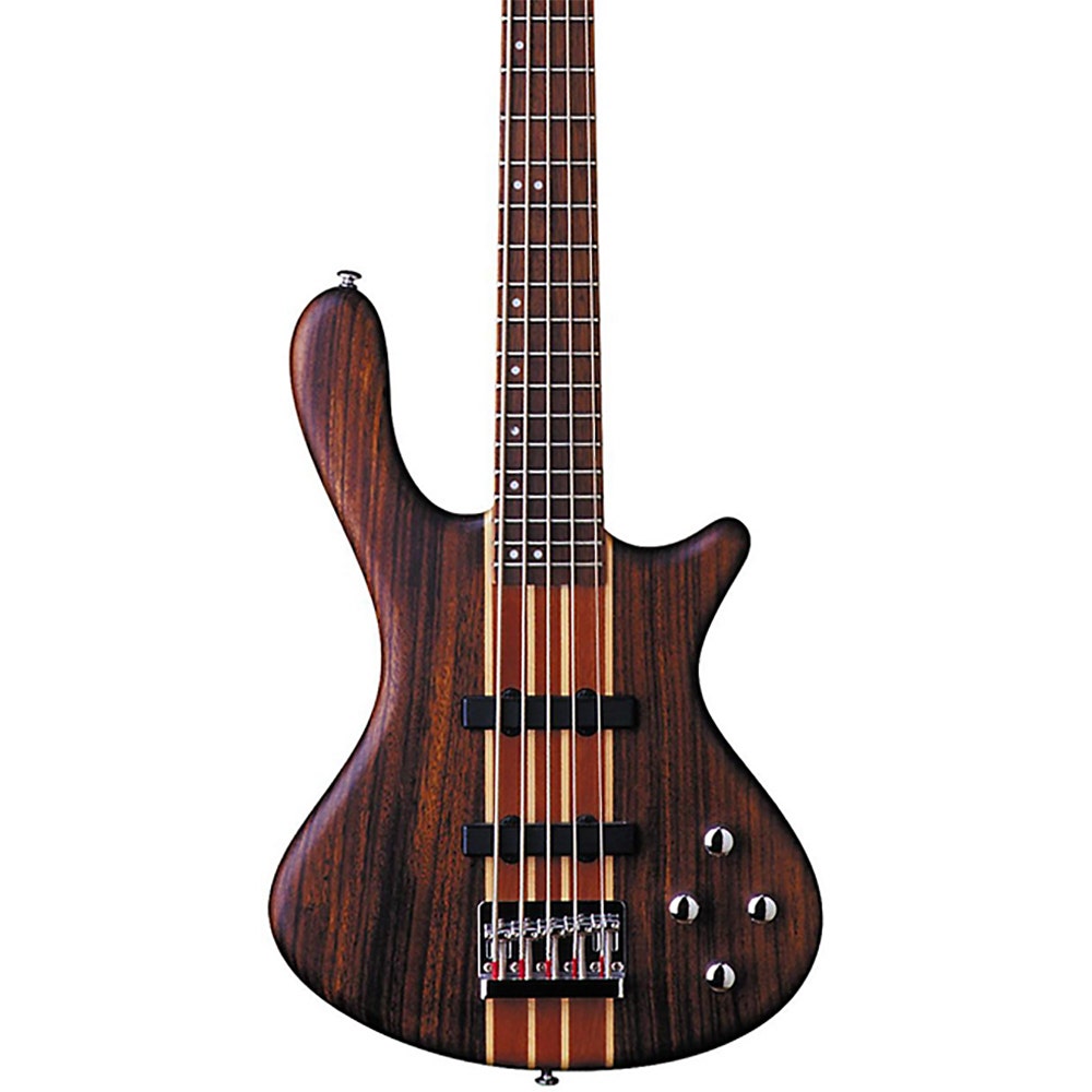Washburn T25NMK Taurus Series 5-String Electric Bass Guitar with Gig Bag - Natural Matte