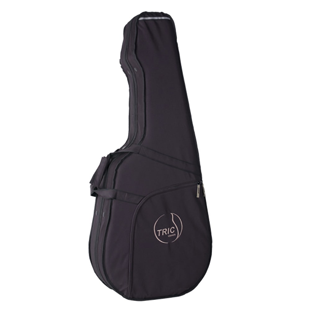 Godin 041046 Multiac Nylon Encore GT SF Acoustic-Electric Guitar with TRIC Case - Black (B-Stock)