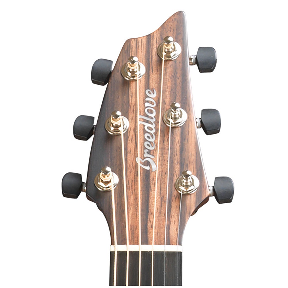 Breedlove USA Concert Fire Light Mahogany Acoustic Guitar with Case