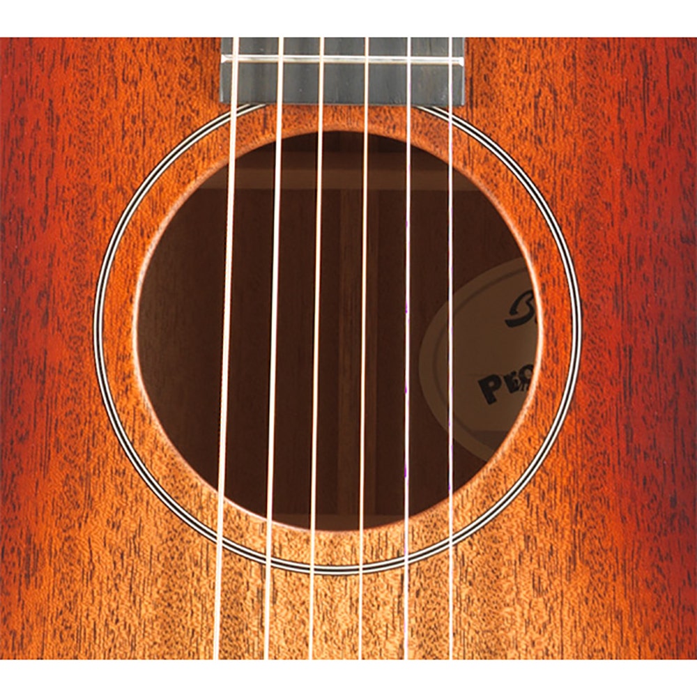 Breedlove USA Concert Fire Light Mahogany Acoustic Guitar with Case