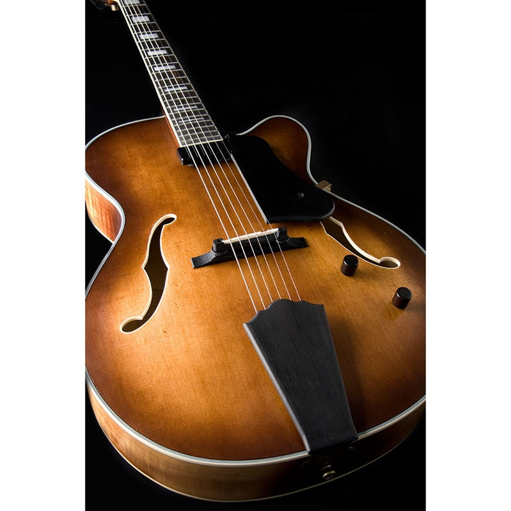 Washburn J600K Jazz Series Hollowbody Electric Guitar with Hard Case - Vintage Matte Finish (B-STOCK)