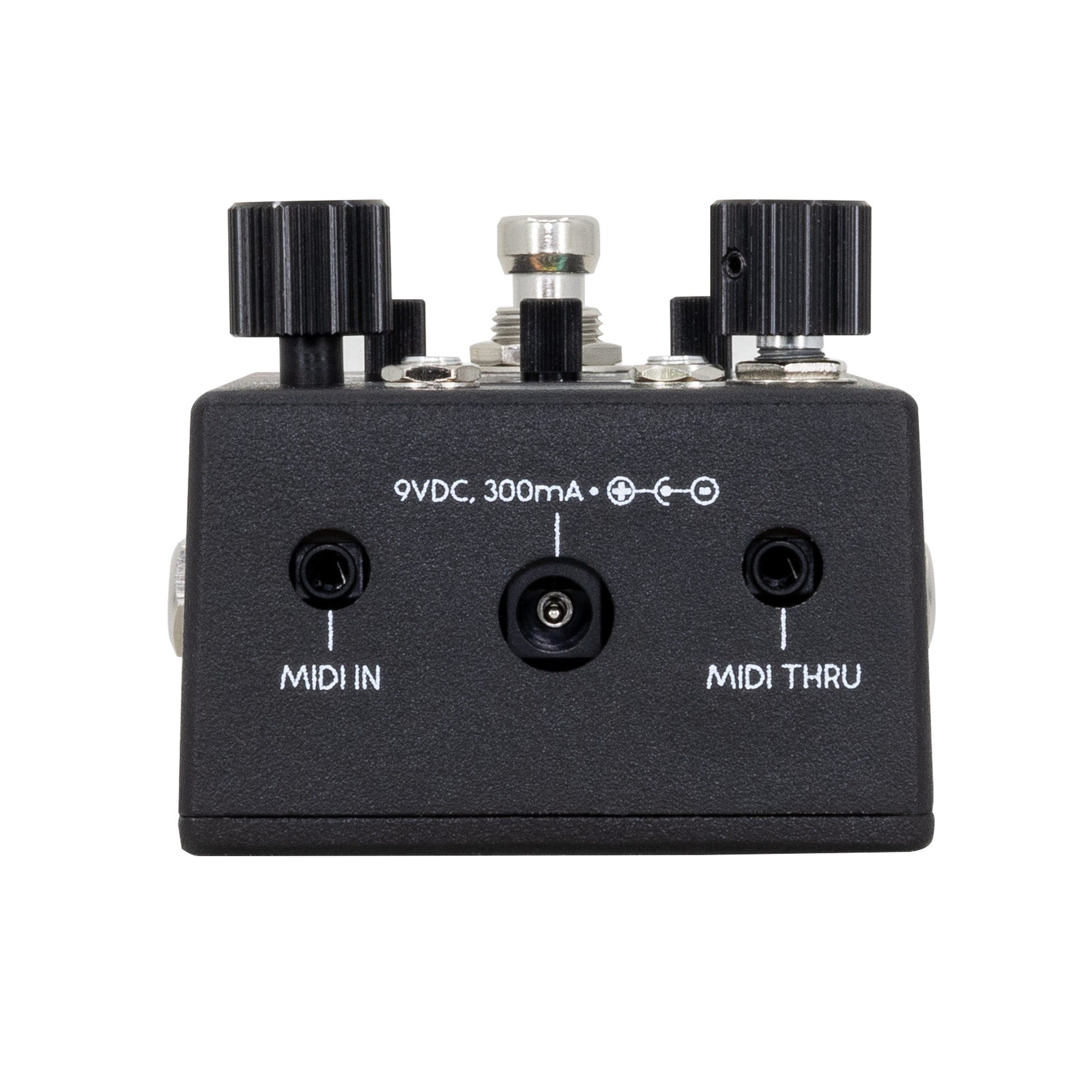 Walrus Audio Canvas Rehearsal All-in-One Headphone Amp / Metronome / Practice Tool Guitar Pedal