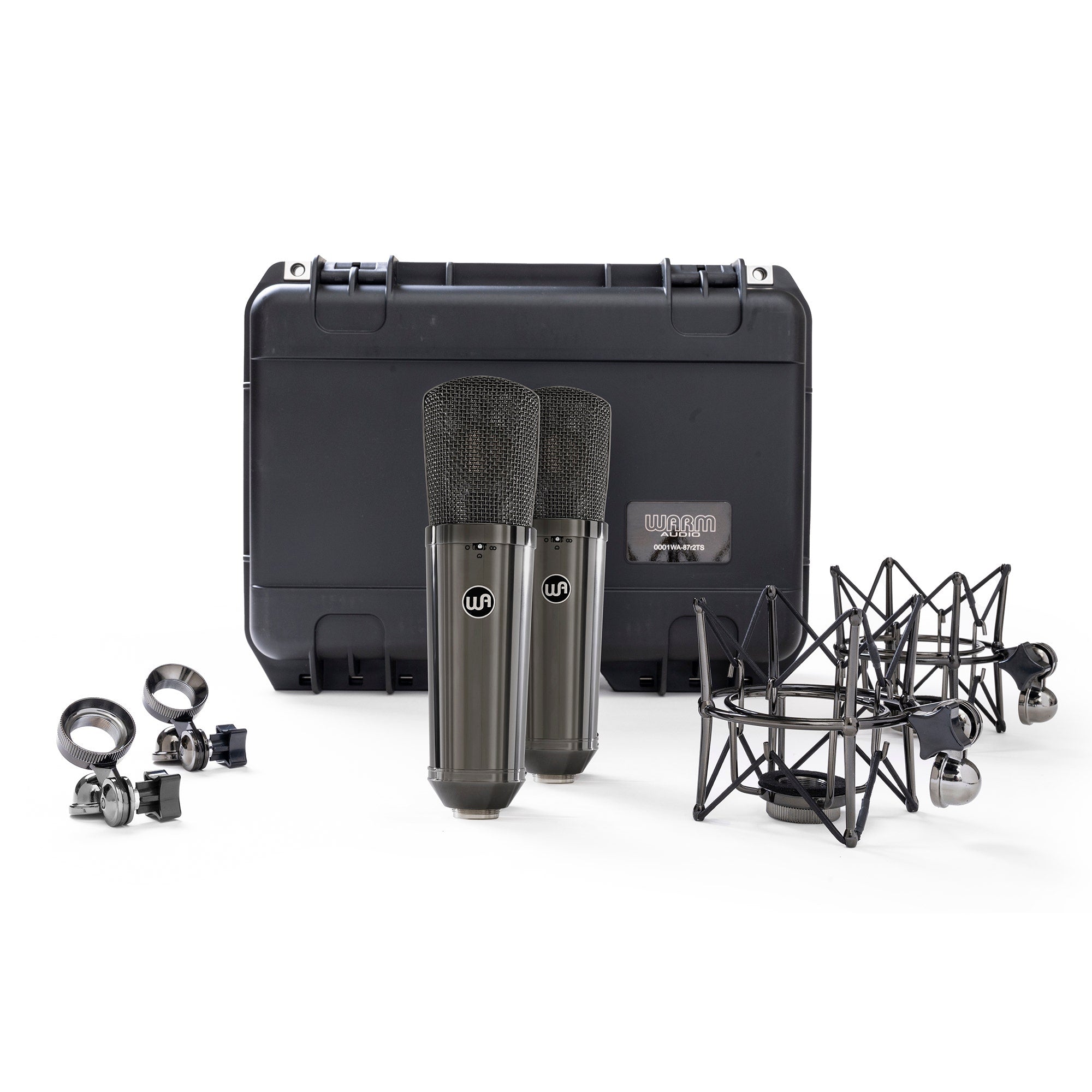Warm Audio Limited Edition WA-87 R2 TS Titanium Large-Diaphragm FET Condenser Microphone Stereo Pair