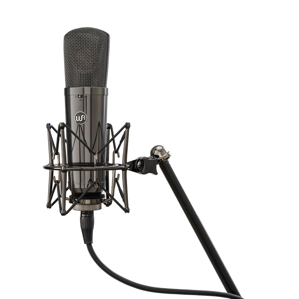 Warm Audio Limited Edition WA-87 R2 TS Titanium Large-Diaphragm FET Condenser Microphone Stereo Pair