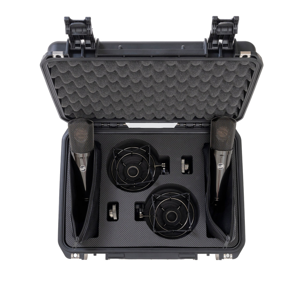 Warm Audio Limited Edition WA-87 R2 TS Titanium Large-Diaphragm FET Condenser Microphone Stereo Pair