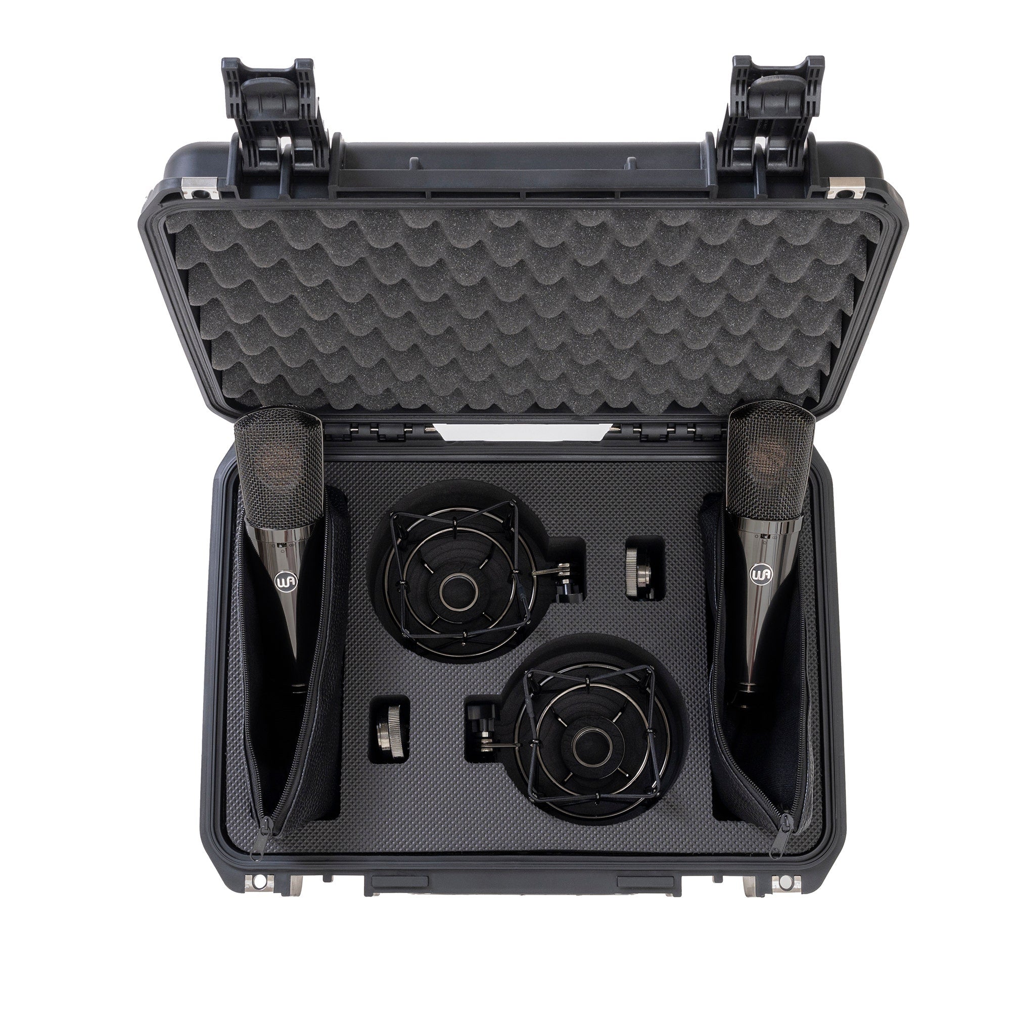 Warm Audio Limited Edition WA-87 R2 TS Titanium Large-Diaphragm FET Condenser Microphone Stereo Pair