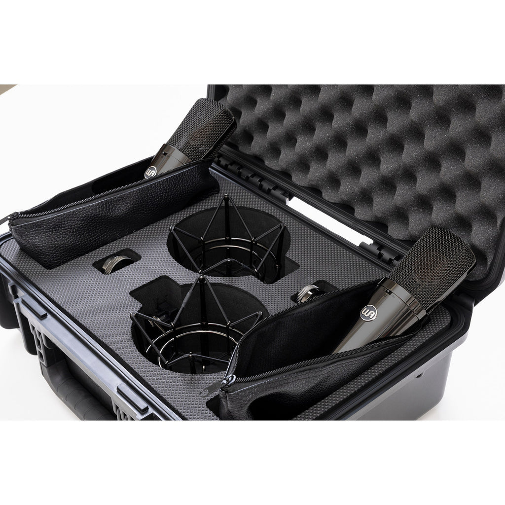 Warm Audio Limited Edition WA-87 R2 TS Titanium Large-Diaphragm FET Condenser Microphone Stereo Pair