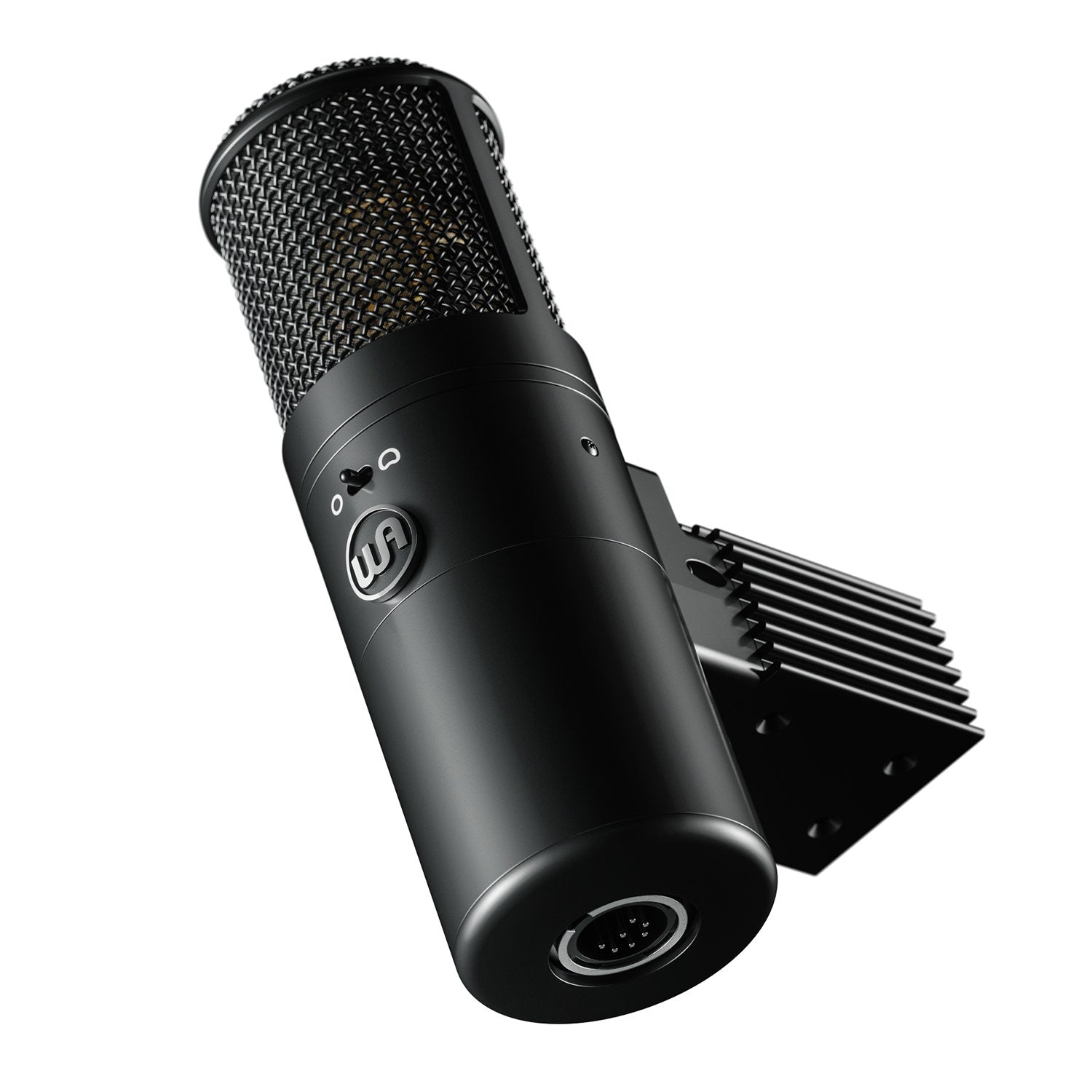 Warm Audio WA-8000 Large Diaphragm Tube Condenser Microphone