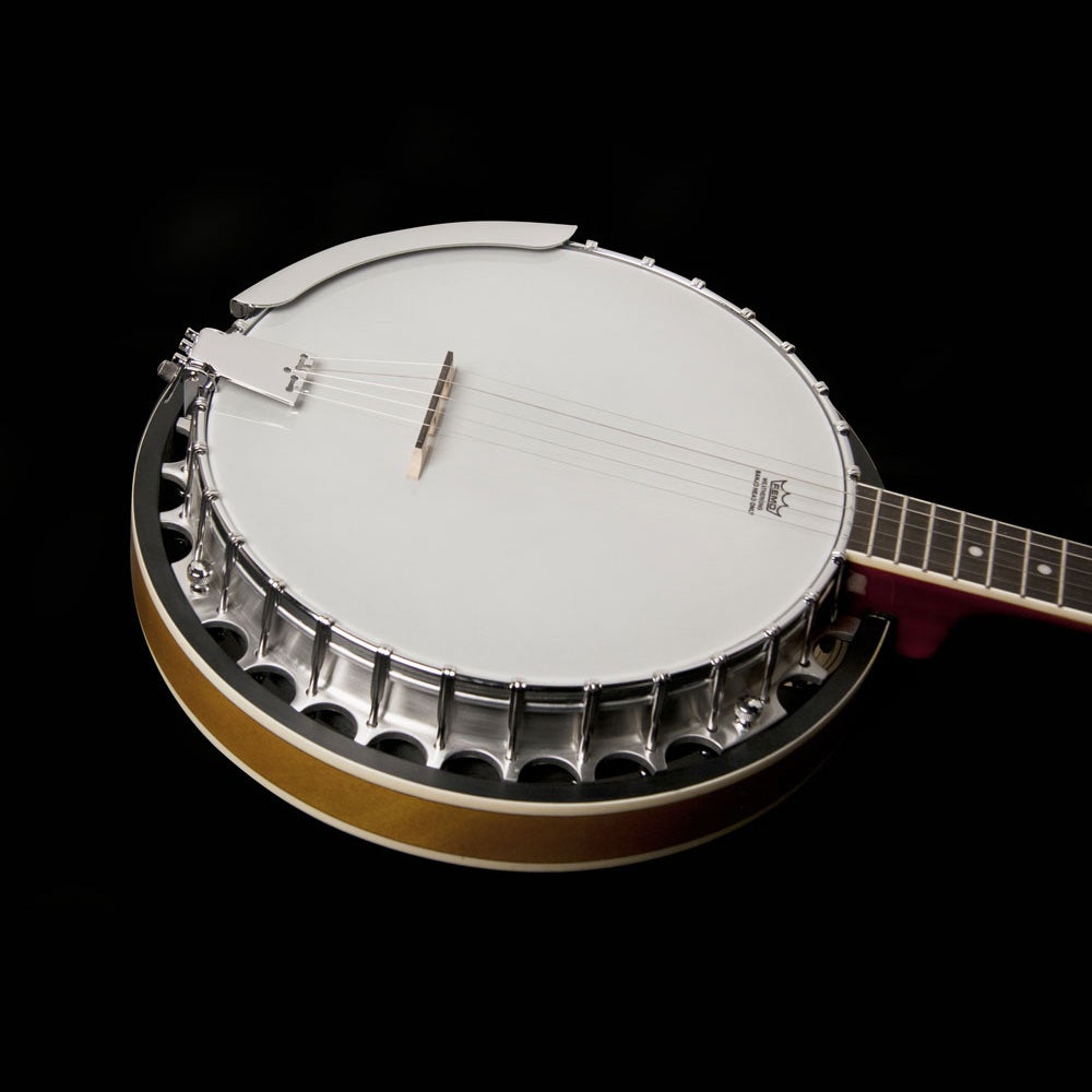 Washburn B9 Americana Series 5-String Resonator Banjo, Gloss Sunburst