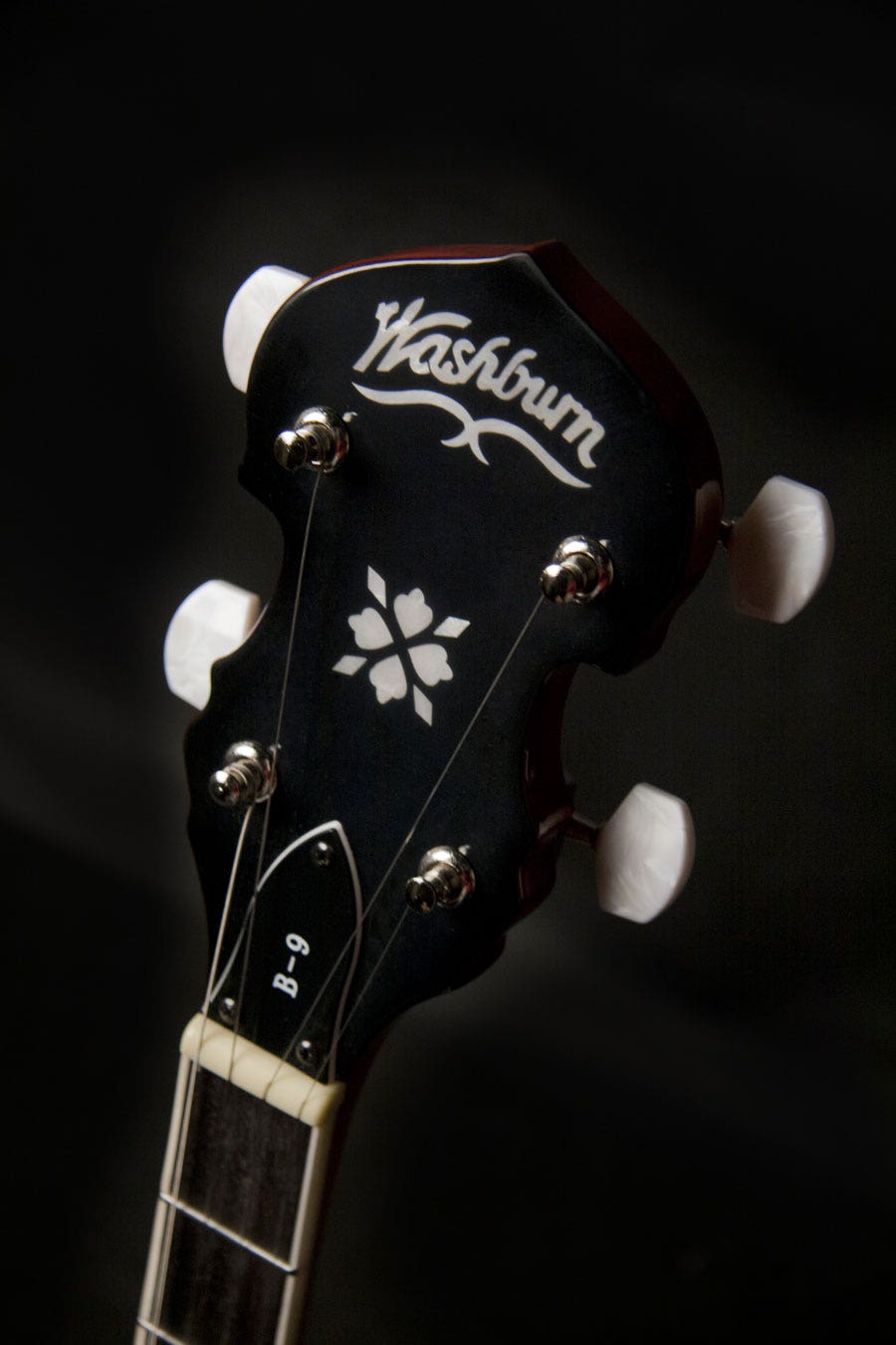 Washburn B9 Americana Series 5-String Resonator Banjo, Gloss Sunburst