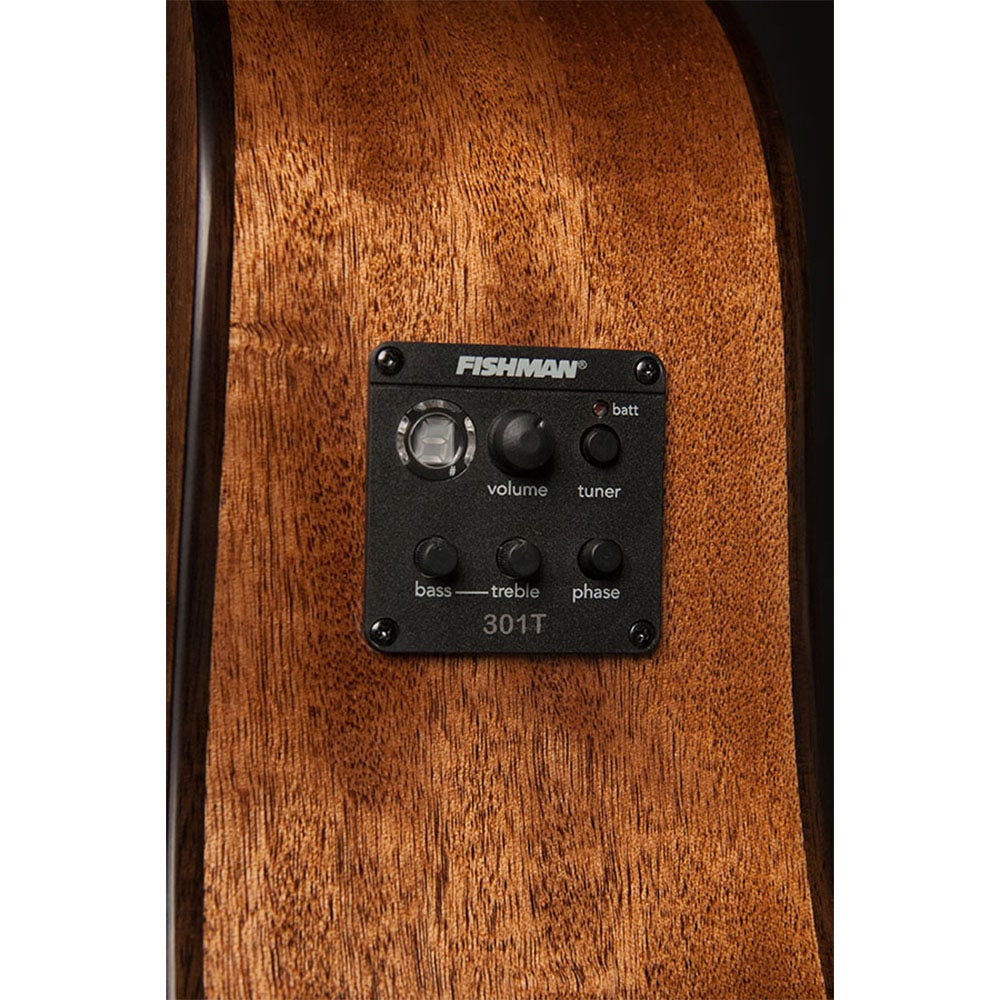 Washburn WLD10SCE Woodline 10 Series Dreadnought Cutaway Acoustic-Electric Guitar - Natural